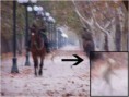 /album/duchovia/alien-in-park-jpg/