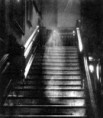 /album/duchovia/brownlady-jpg/